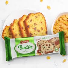 BUDIN